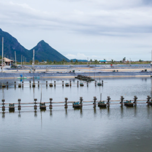 Aquaculture Construction and Repair in GEO Civil Engineering